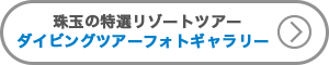 ダイビングツアー・フォトギャラリー　ボタン